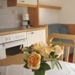 Detaillierte Infos zur Unterkunft Appartement Hollaus
