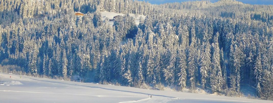 Detaillierte Infos zur Unterkunft VITAL & SPORTHOTEL BRIXEN