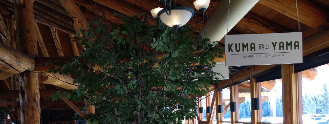 Review about Lake Louise Mountain Resort - Category: On Mountain Dining