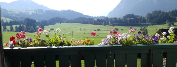 General information about your stay at Appartement Weide Blick