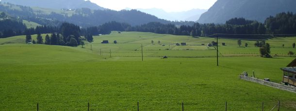 General information about your stay at Appartement Weide Blick