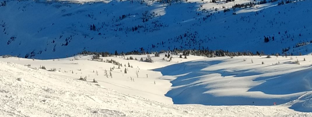 Feinster Champagne Powder am Goat's Eye lassen Freerider Herzen höher schlagen