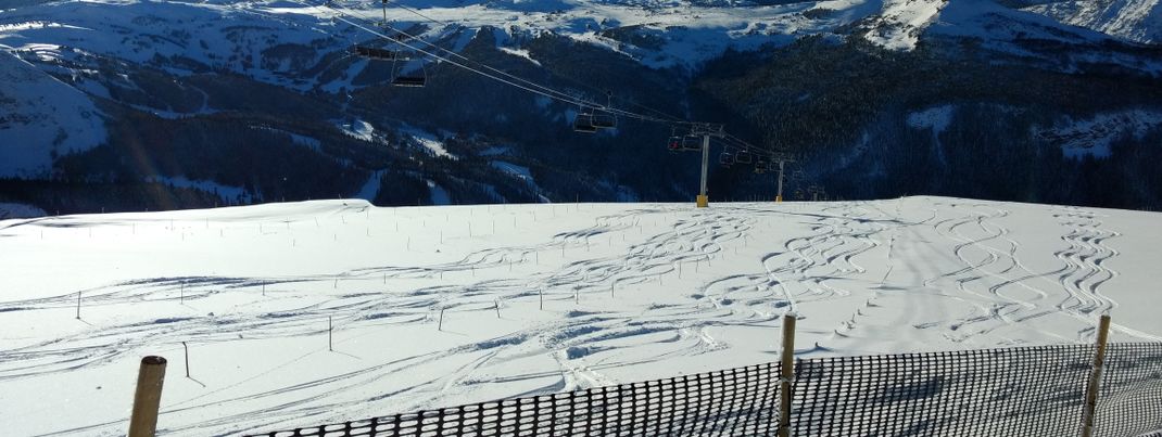 Review about Sunshine Village - Banff National Park - Category: Freeride