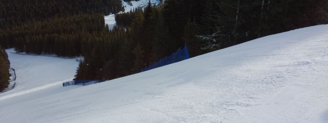 Review Banff Mt Norquay Category Service