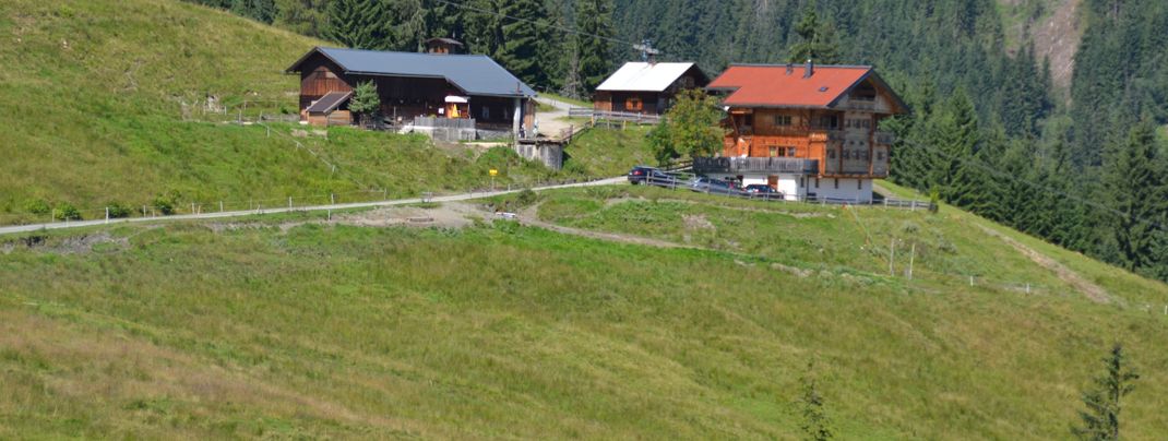 General information about your stay at Hohlriederalmhütte