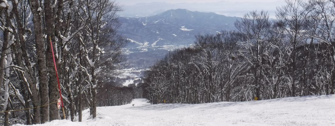 Numerous flat pistes await beginners.
