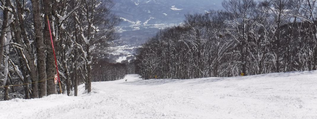 Auf den flachen breiten Hängen können auch Anfänger gut Skifahren.