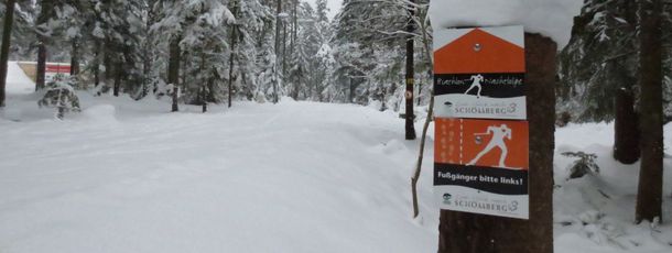 Durch die guten Markierungen ist das Loipennetz in Schömberg sehr übersichtlich.