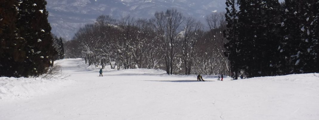 Die Pisten in Myoko Kogen sind relativ lang, dafür weniger steil.