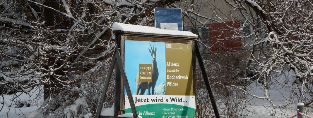 Detaillierte Infos zur Unterkunft Pension Gierlinger