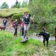 Wandern mit Hunden