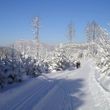 Im Langlaufzentrum Hochreit warten gleich zwei Panoramaloipen auf dich.