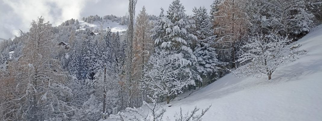 General information about your stay at Haus Illmer