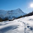 Winterwunderland im Berner Oberland