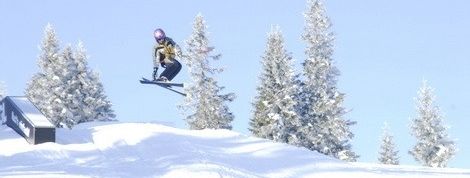 Information about the ski resort Salzstiegl