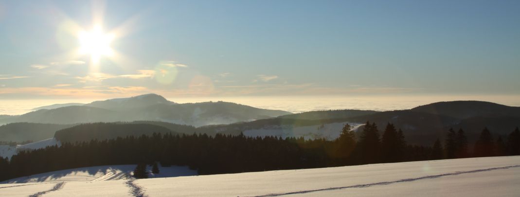 General information about your stay at Ferienwohnung Bergahorn