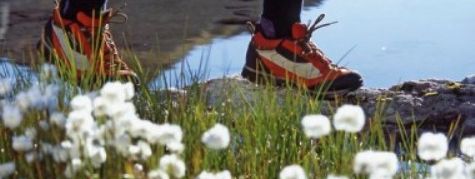 Detaillierte Infos zur Unterkunft Hotel Forer