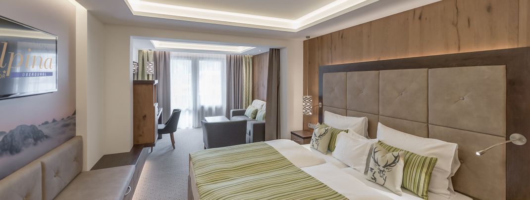 General information about your stay at Hotel Alpina Deluxe