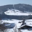 Die verschneite Nordseite des Simmelsberg lädt Wintersporler zum Verweilen.