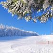 Information about the ski resort Jauerling