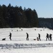 Winterwandern in Herrischried