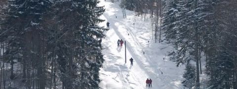 © http://www.presdorvin-ski.ch