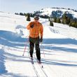 Information about the ski resort Tamarack Resort