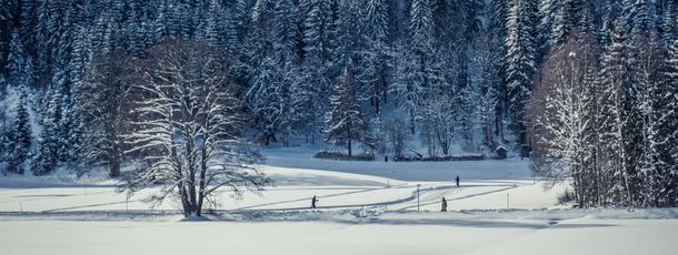 Information on Cross-Country Skiing at Upper Black Forest