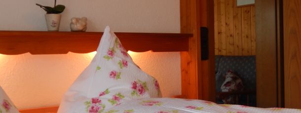 Blick ins Wohnzimmer