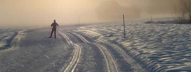 Langlauf in mystischer Atmosphäre