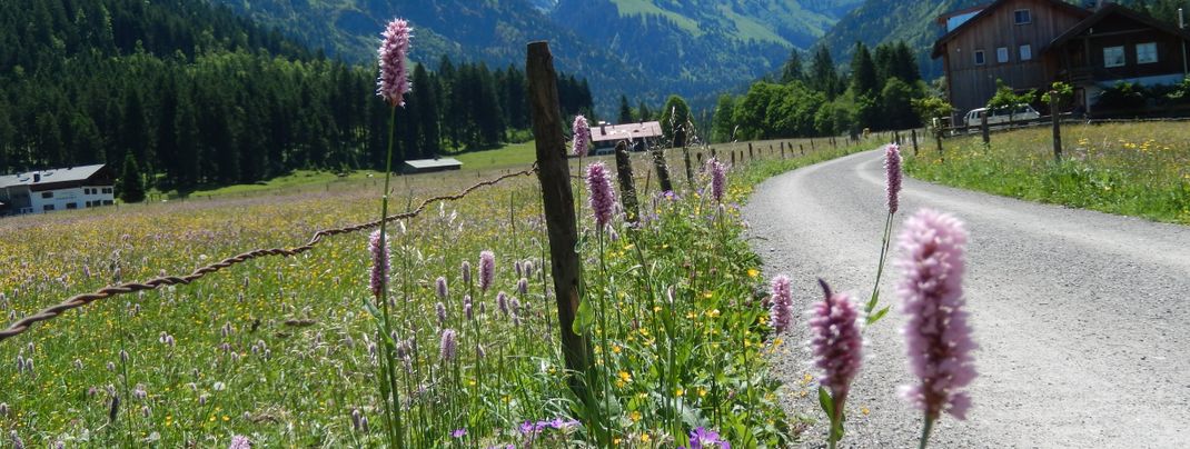 General information about your stay at Haus Anton