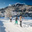 Detaillierte Infos zum Langlauf und den Loipen im Langlaufgebiet Andalo - Paganella