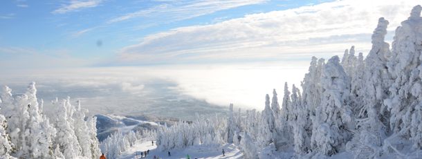 Information about the ski resort Mont Orford