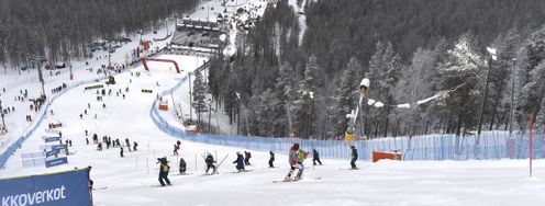 Vor den Durchgängen wird die Strecke auf der Piste Levi Black von den Rennläufern besichtigt.