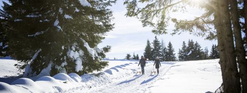 Auf leisen Sohlen, ganz sanft die Natur im Meraner Land erleben.