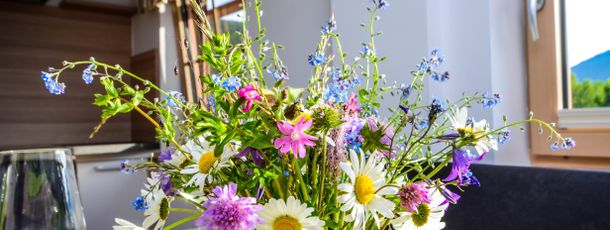 Detaillierte Infos zur Unterkunft Bacherhof