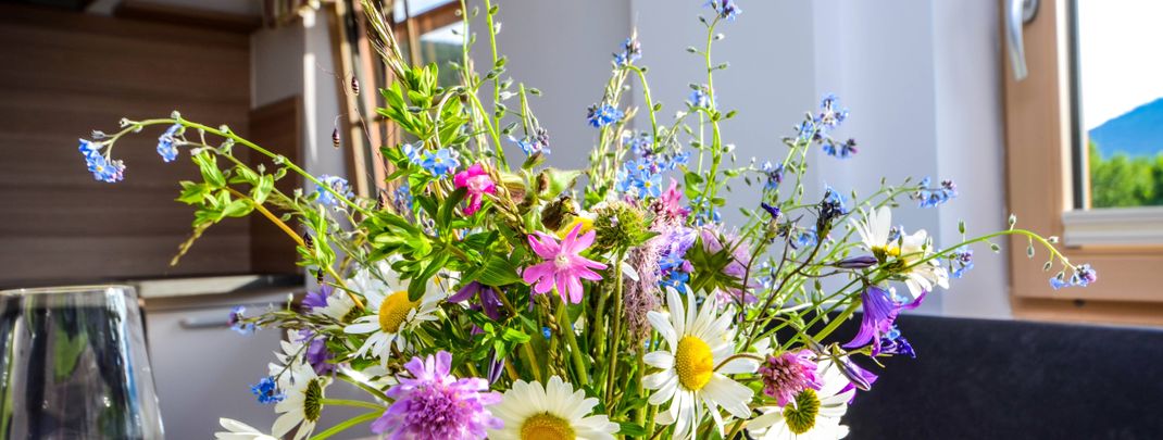 General information about your stay at Bacherhof