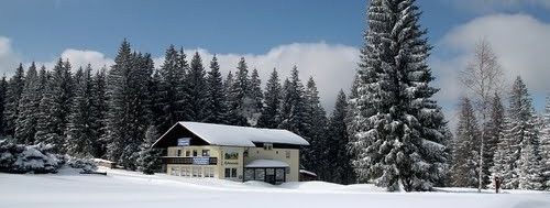 Detaillierte Infos zur Unterkunft Pension Arberwald