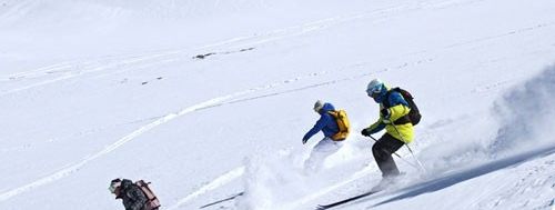 Information about the ski resort Les 2 Alpes