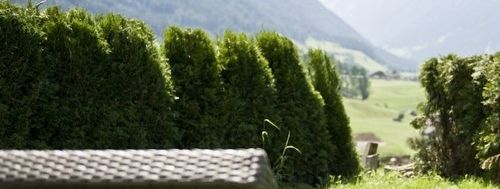 Panoramablick Liegewiese