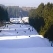 Reges Wintersporttreiben am Erbeskopf, dem höchsten Berg von Rheinland-Pfalz.