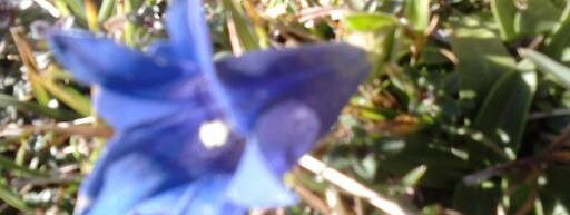 General information about your stay at Pension Mühlbauer