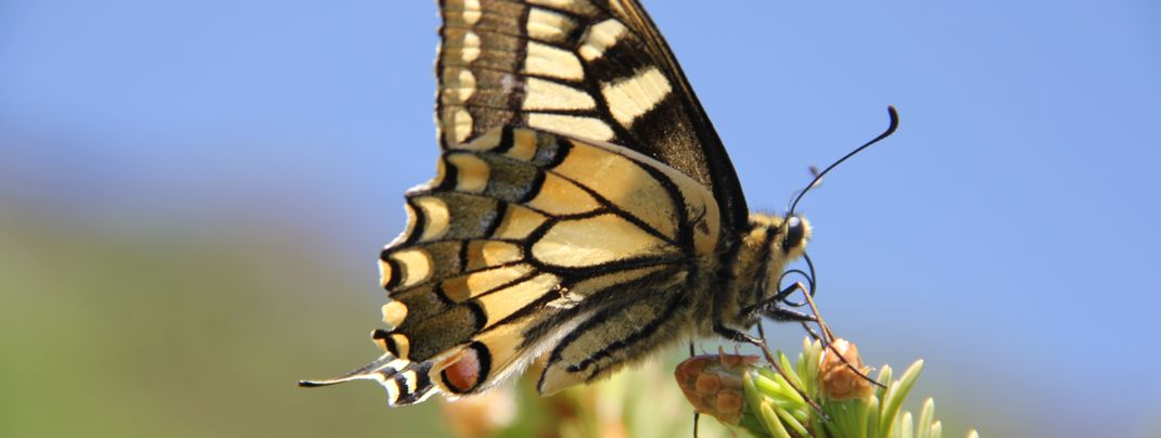 Detaillierte Infos zur Unterkunft Apart Gletscherblick