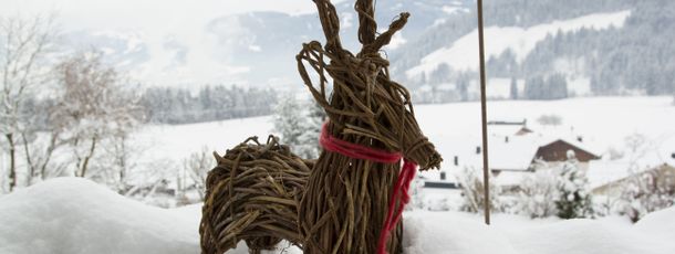 General information about your stay at Fewo Tannenhof