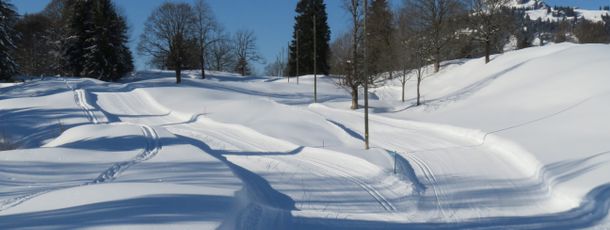 Loipe Oberberg mit schöner Winterkulisse