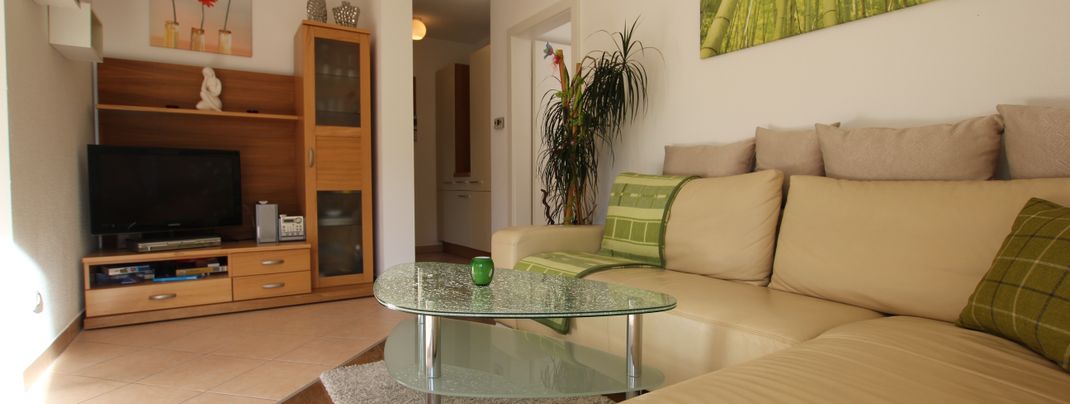 General information about your stay at Appartement Wildkogel