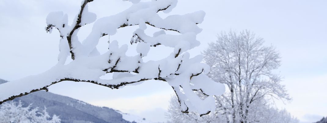 General information about your stay at Fewo Tannenhof