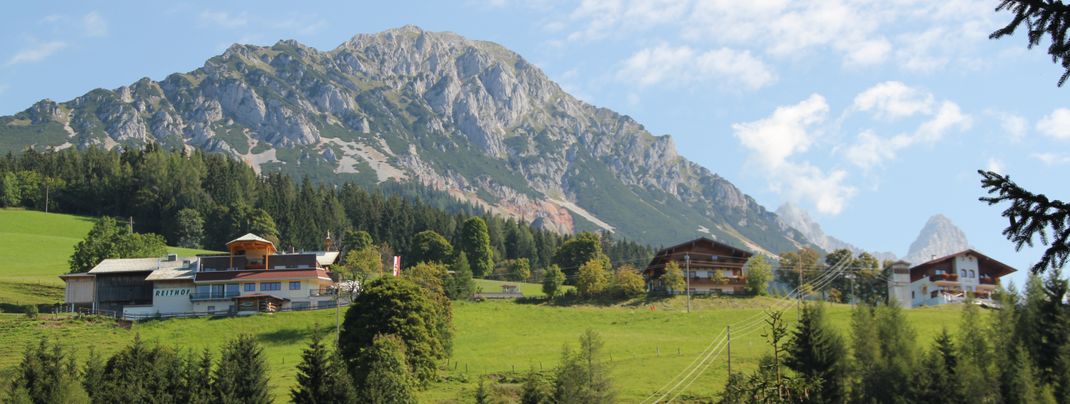 Der Reithof inmitten von Bergen Wiesen und Wald