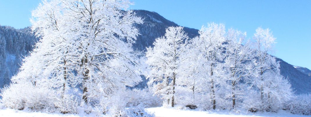 General information about your stay at Haus Flaschberger