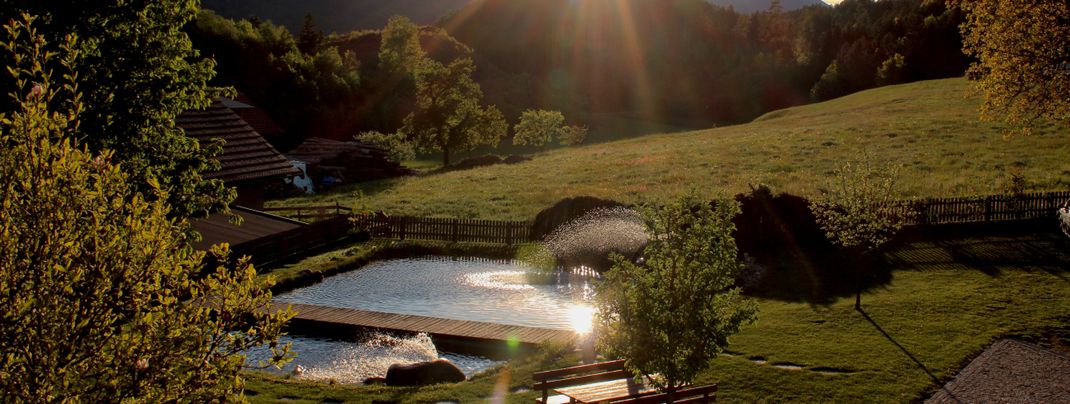 Detaillierte Infos zur Unterkunft Ferienwohnungen Schaller
